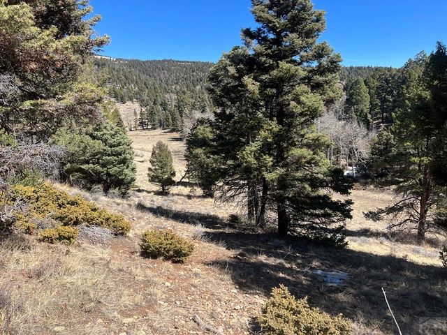 3140 Schierl Rd, Fort Garland, CO 81133