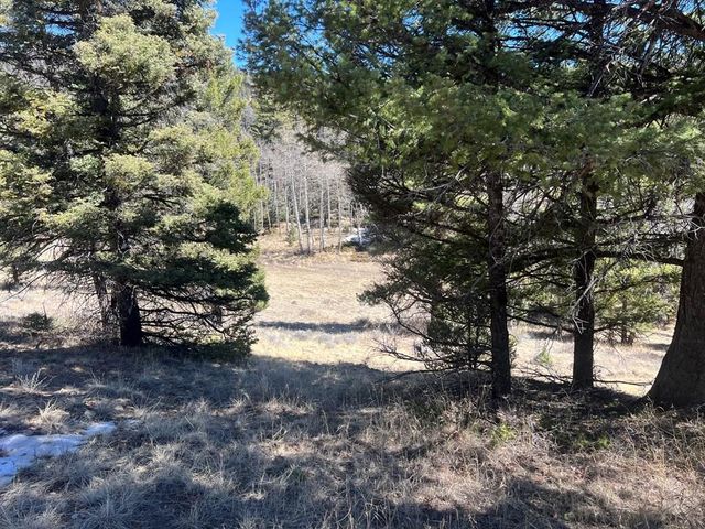 3140 Schierl Rd, Fort Garland, CO 81133