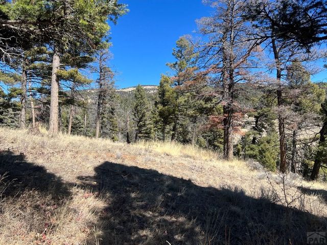 3140 Schierl Rd, Fort Garland, CO 81133