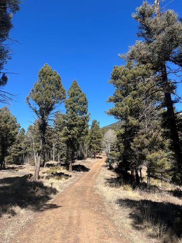 3140 Schierl Rd, Fort Garland, CO 81133