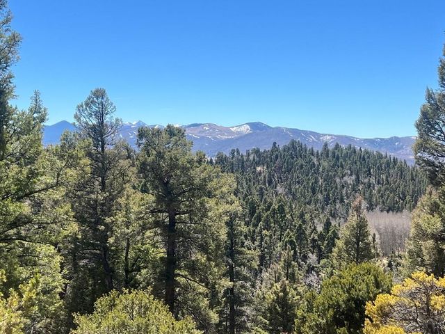 3140 Schierl Rd, Fort Garland, CO 81133