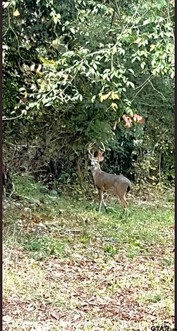 442 Martha St, Bullard, TX 75757