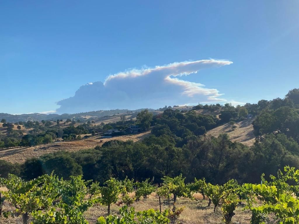 Image 13 of property listing at 15800 Jackson Street, Drytown, CA 95699