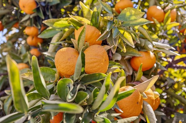 1193 Pearce Dr E, Sonoma, CA 95476