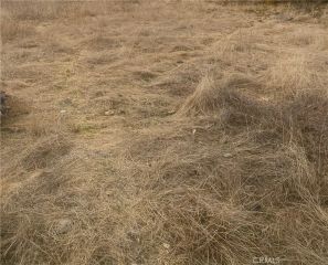 0 Vac/Vic, Llano, CA 93544