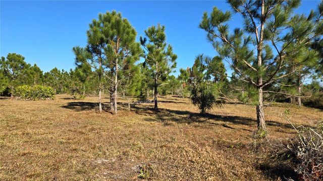 17718 NW 266TH STREET, Okeechobee, FL 34972