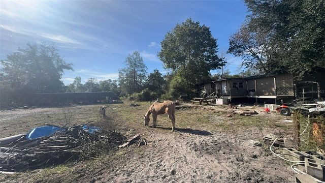 43430 COOTER POND ROAD, Deland, FL 32720