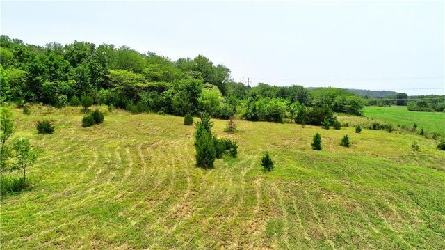 170 N Cato Springs Road, Greenland, AR 72701