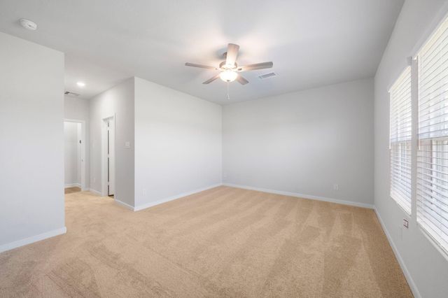 29214 Dandelion Sky Drive, Waller, TX 77484