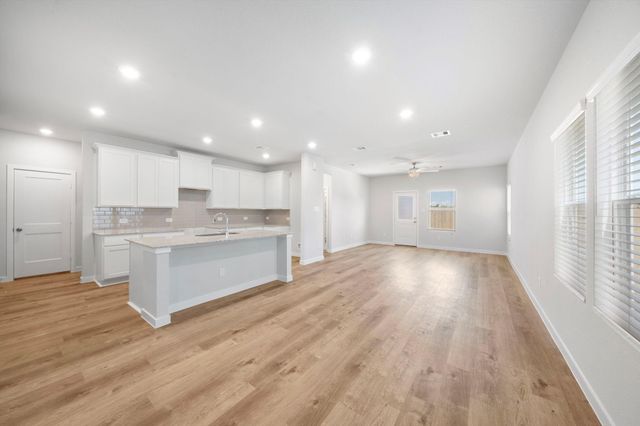 29214 Dandelion Sky Drive, Waller, TX 77484