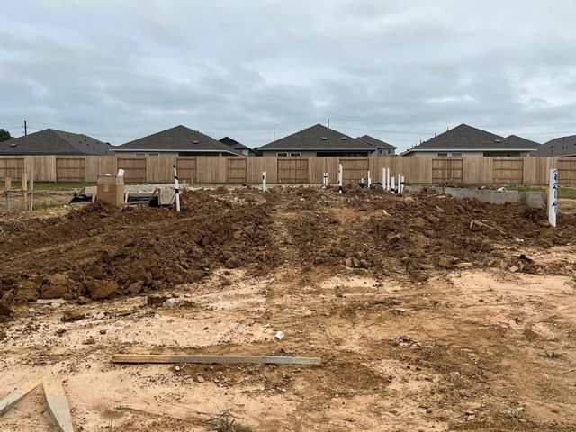 29214 Dandelion Sky Drive, Waller, TX 77484