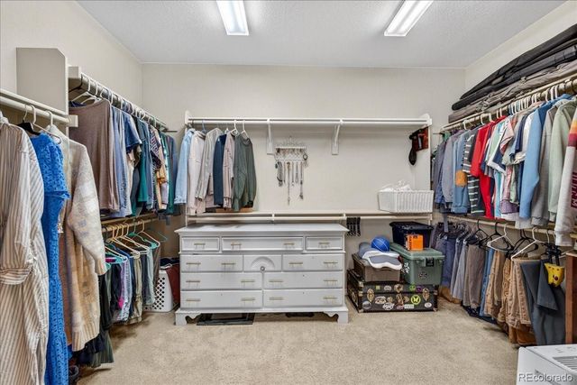5509 Sawdust Loop, Parker, CO 80134