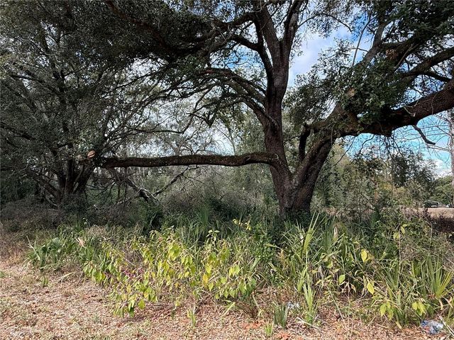 0 HILDA RD, Dade City, FL 33523
