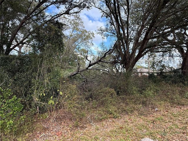 0 HILDA RD, Dade City, FL 33523