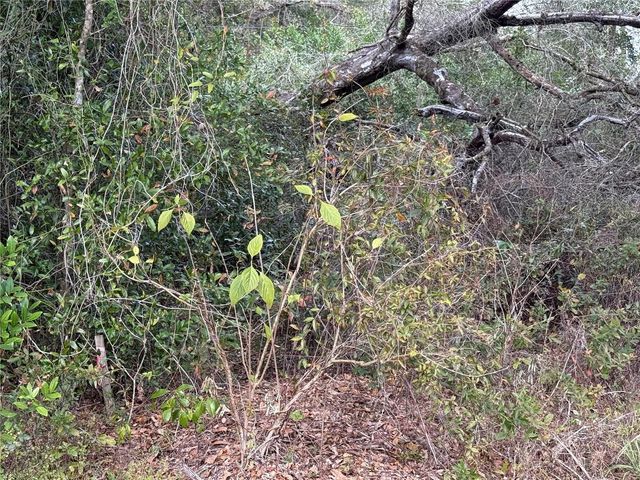 0 HILDA RD, Dade City, FL 33523