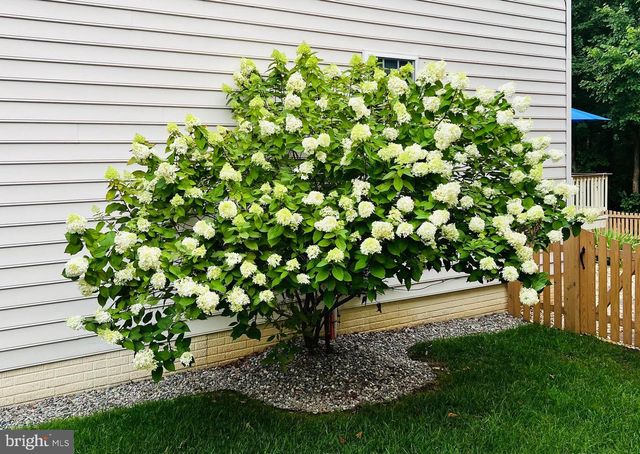 115 CEDARGROVE PL SW, Leesburg, VA 20175