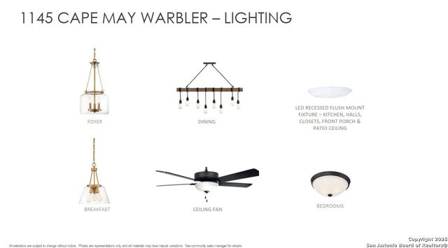 1145 Cape May Warbler, New Braunfels, TX 78132