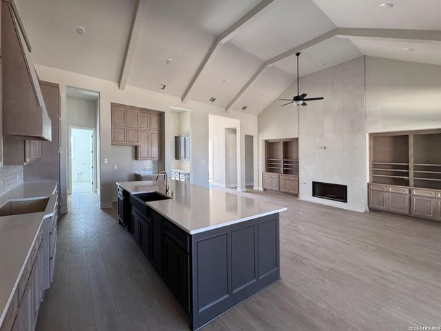 1145 Cape May Warbler, New Braunfels, TX 78132