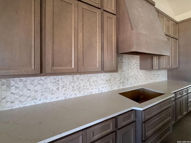 1145 Cape May Warbler, New Braunfels, TX 78132