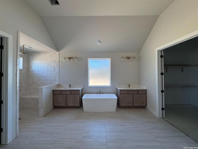 1145 Cape May Warbler, New Braunfels, TX 78132