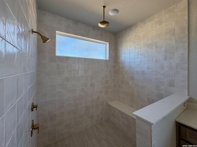 1145 Cape May Warbler, New Braunfels, TX 78132