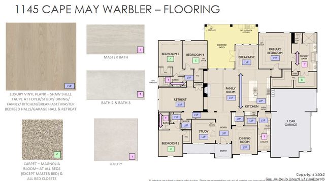 1145 Cape May Warbler, New Braunfels, TX 78132