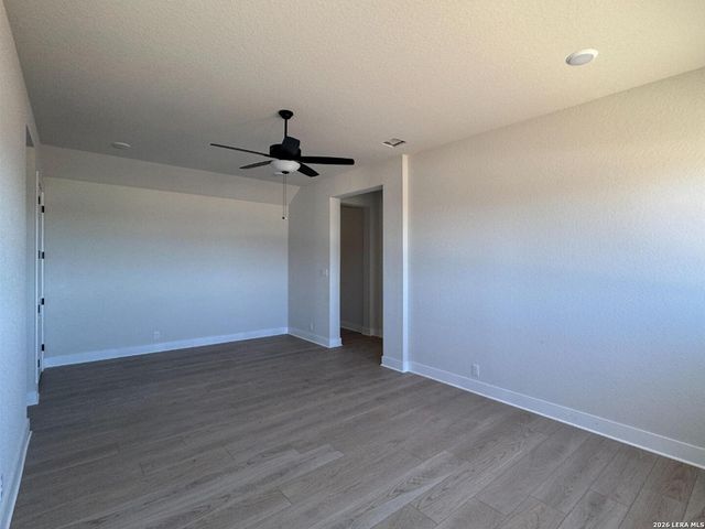 1145 Cape May Warbler, New Braunfels, TX 78132