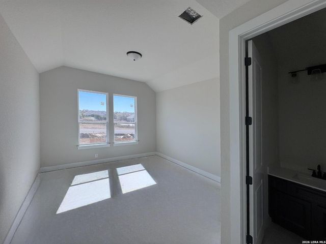 1145 Cape May Warbler, New Braunfels, TX 78132