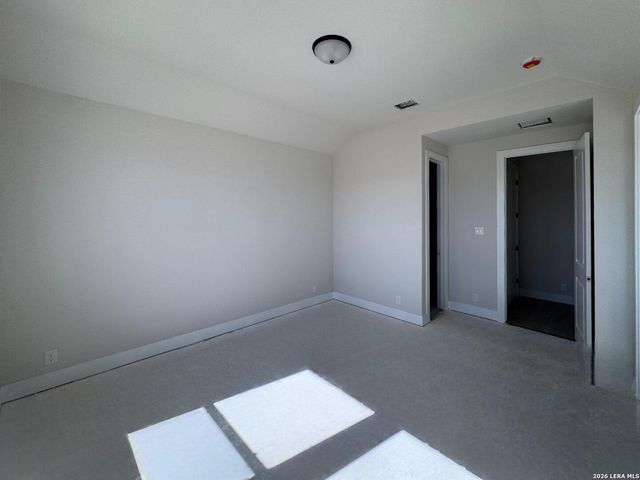 1145 Cape May Warbler, New Braunfels, TX 78132