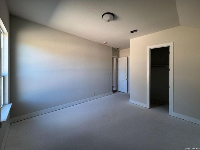 1145 Cape May Warbler, New Braunfels, TX 78132