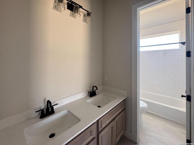 1145 Cape May Warbler, New Braunfels, TX 78132