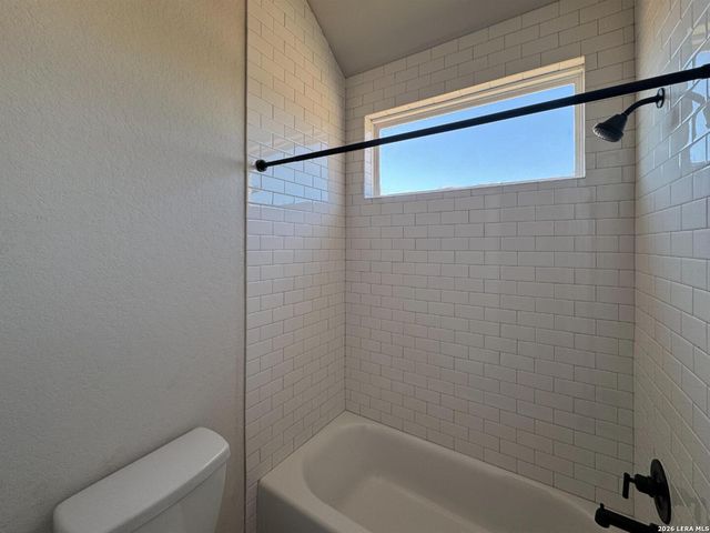 1145 Cape May Warbler, New Braunfels, TX 78132