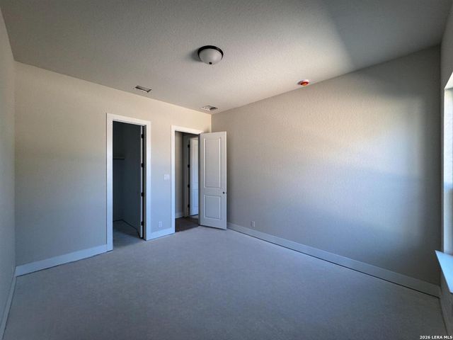 1145 Cape May Warbler, New Braunfels, TX 78132