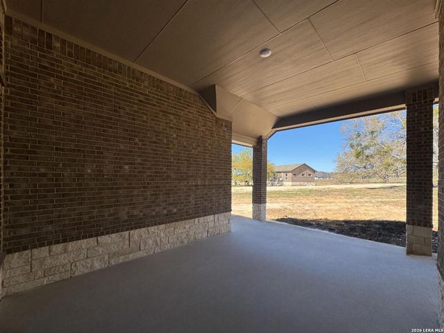 1145 Cape May Warbler, New Braunfels, TX 78132