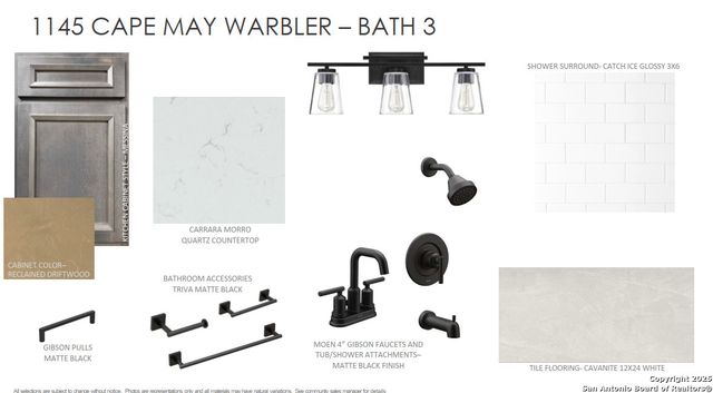 1145 Cape May Warbler, New Braunfels, TX 78132