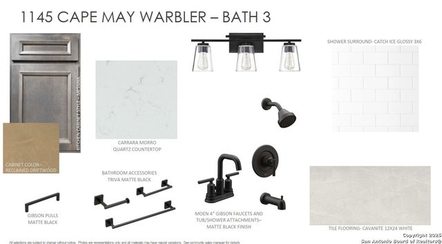 1145 Cape May Warbler, New Braunfels, TX 78132