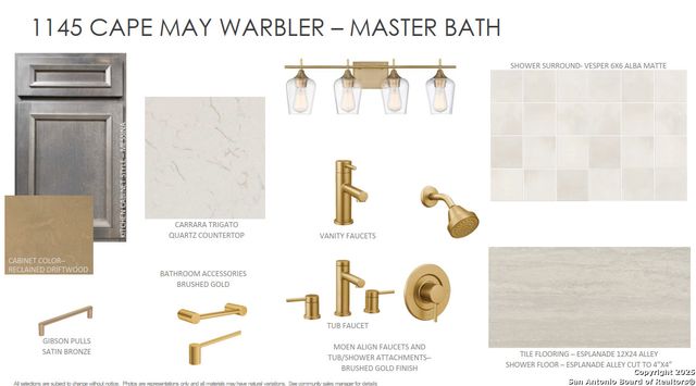 1145 Cape May Warbler, New Braunfels, TX 78132