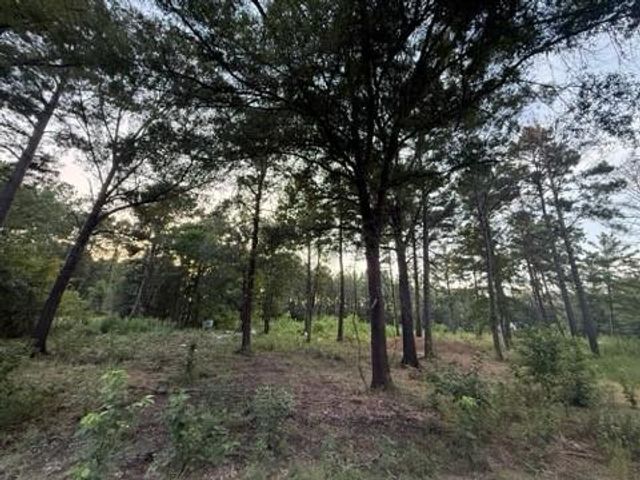 120 Pioneer Trail, Livingston, TX 77351