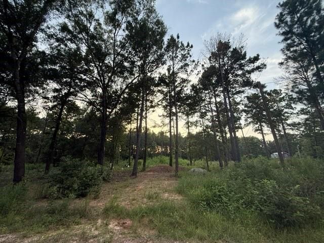 120 Pioneer Trail, Livingston, TX 77351