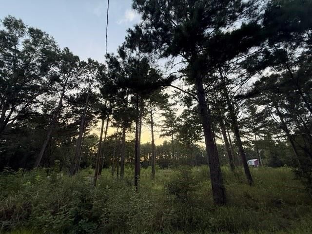 120 Pioneer Trail, Livingston, TX 77351