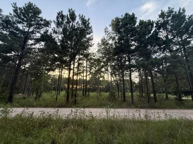 120 Pioneer Trail, Livingston, TX 77351
