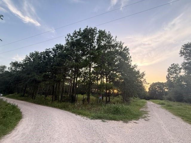 120 Pioneer Trail, Livingston, TX 77351