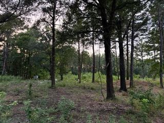 120 Pioneer Trail, Livingston, TX 77351