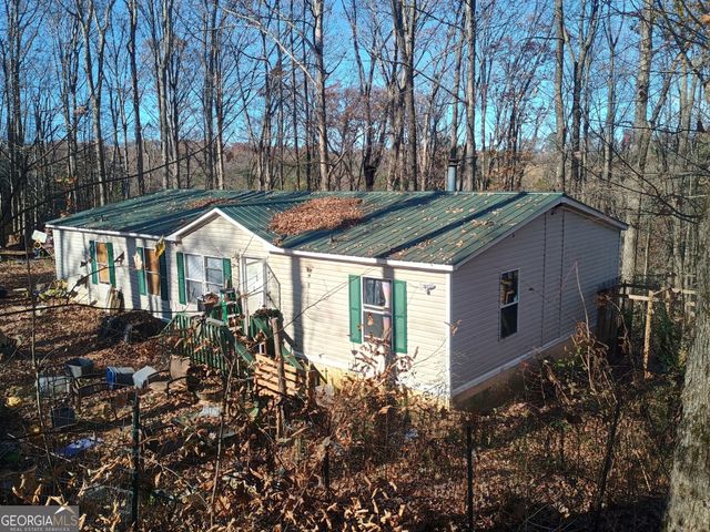 61 Lake Road Court, Ellijay, GA 30540