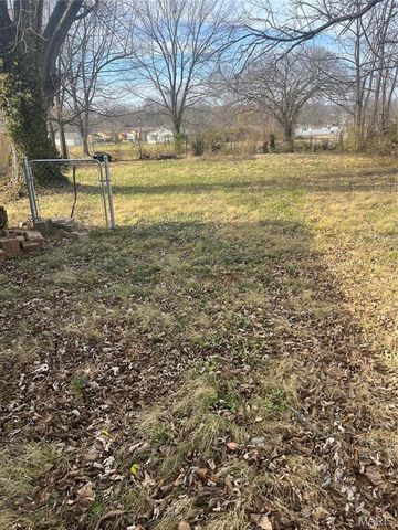 515 Potosi St, Farmington, MO 63640