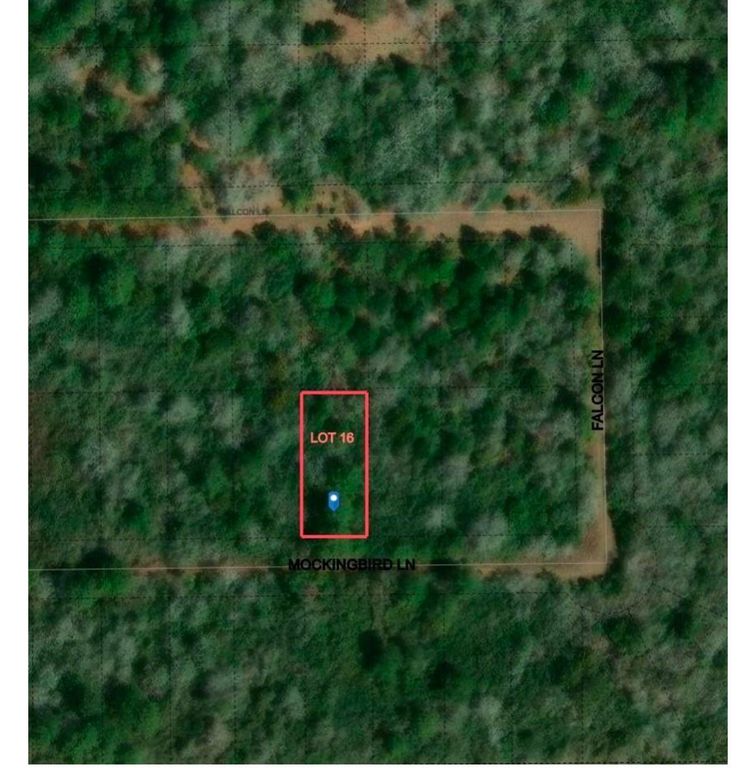 26663 Mockingbird Lane, Hempstead, TX 77445