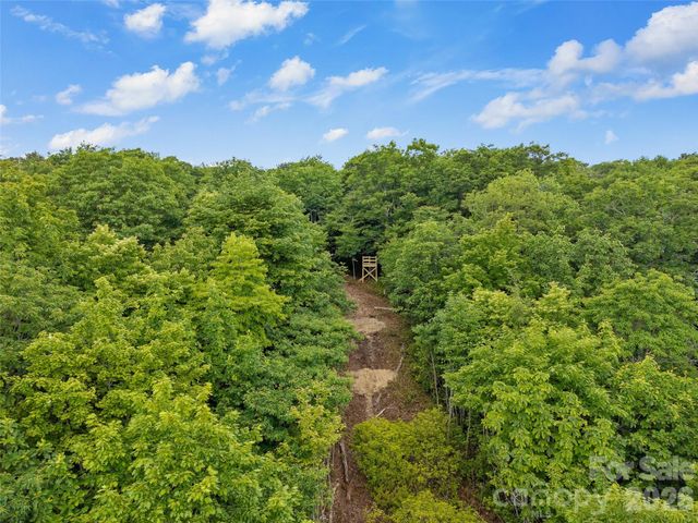 Lot 42 Spencer Lane MR42, Lake Toxaway, NC 28747