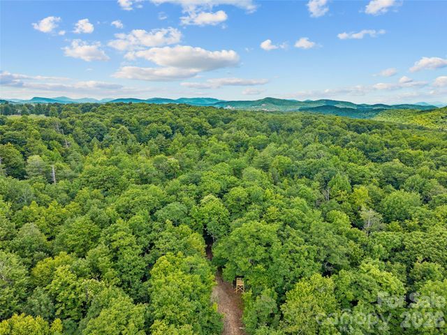 Lot 42 Spencer Lane MR42, Lake Toxaway, NC 28747