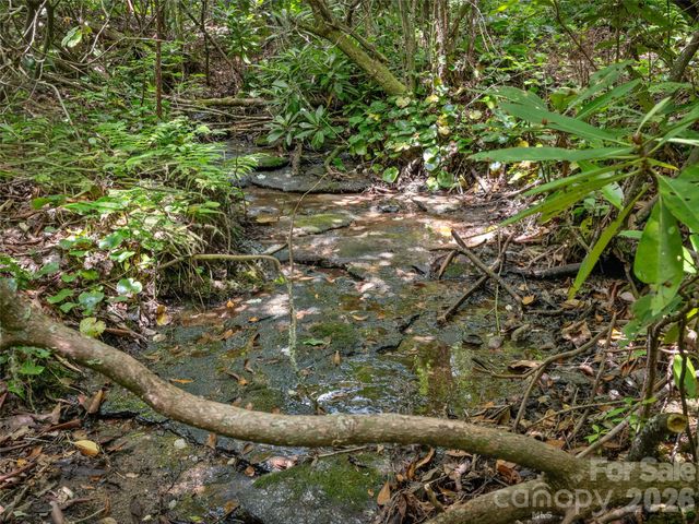 Lot 42 Spencer Lane MR42, Lake Toxaway, NC 28747
