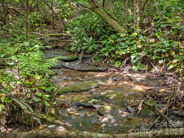 Lot 42 Spencer Lane MR42, Lake Toxaway, NC 28747